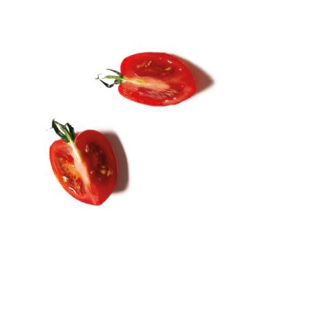 celebrate health product Tomato Sauce garnish